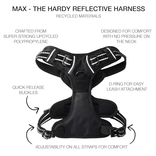 Pet Passion MAX - THE Hardy Reflective Harness, Black, X-Small - color: BLACK, size: X-Small (5-12 lbs)