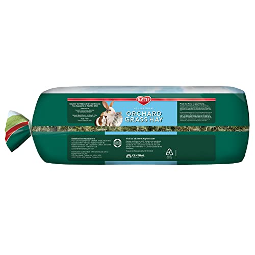 Kaytee Orchard Grass, 24-Ounce - size: 1.5 Pound (Pack of 1)