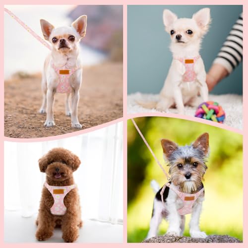 Lukovee Puppy Harness and Leash Set, No Pull, Lightweight Step in Vest | Adjustable, Soft Suede Vest, Easy Put on and off Pet Harness with Snap Buckle & 51in Leash for Small Medium Dogs (Pink, XXS) - color: Pink Daisy, size: XX-Small ( 2.2-6lb )