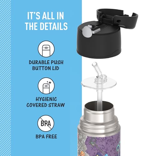 THERMOS FUNTAINER Water Bottle with Straw - 12 Ounce - Kids Stainless Steel Vacuum Insulated Water Bottle with Lid, Masters of the Universe - color: Masters of the Universe, size: 12 Ounces