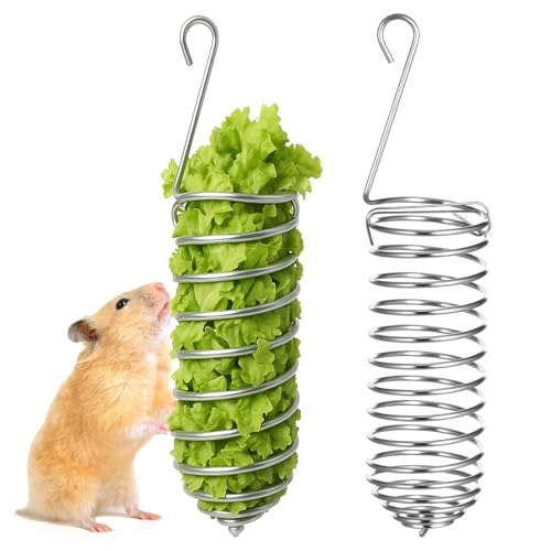 2Pcs Rat Enrichment Toys Bird Food Holder Rat Parrot Foraging Toy | Stainless Steel, Hanging Rodent Toy, Fruit Vegetable Holder, Puzzle Toys, Slow Feeder, Parakeet Foraging