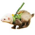 Ferret Harness and Leash Set Small Animals Vest Harness with Safe bell Dinosaur Shaped Walking clothes for Baby Rabbit Guinea pig Teacup Chihuahua Mouse and other small pet(Green Dinosaur) - color: Green Dinosaur