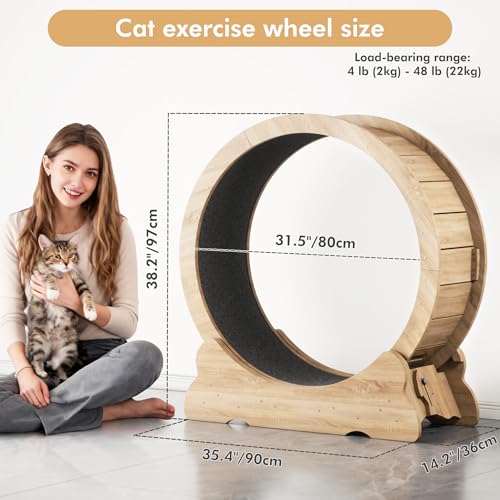 Mondeer 38'' Cat Wheel with Carpet Track and Teaser, Natural Wood | Cat Exercise Wheel, 38'' Treadmill with Carpeted Runway, Removable Carpet and Teaser, for Indoor Cats Running and Walking. - color: Natural Wood, size: 38