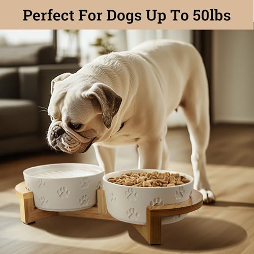 Ceramic Dog Bowl Set of 2, Anti-Skid Bamboo Stand, Elevated, 3.8 Cups Each | Thick Ceramic Food and Water Bowls Set of 2, Dishwasher Safe, Anti-Skid Rubber Base, 3.8 Cups per Bowl, Sturdy Bamboo Stand - color: White with Stand, size: Medium