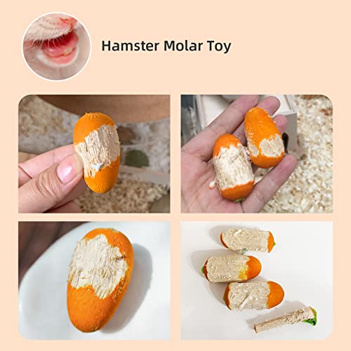 Niteangel Hamster Chew & Decor Toys: Pack of 6 Carrot-Shape & Beech Wood | Chew-Friendly Design to Control Tooth Overgrowth for Syrian Dwarf Hamster Gerbils Mice Lemming Degu or Other Small-Sized Pets - size: Carrot-Shape