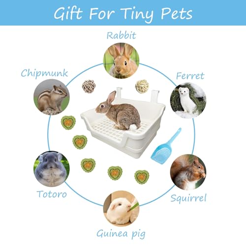 Extra Large Rabbit Litter Box with Splash Guard & Removable Tray - Double Layer Small Animal Cage Toilet for Guinea Pigs, Chinchillas, Ferrets - Chew-Proof Plastic + 2 Hooks (15.7" Jumbo, Beige) - color: Beige（With the ball）