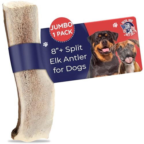 Devil Dog Pet Co Split Elk Antlers for Dogs, Jumbo, Long Lasting | Naturally shed Grade A elk antler split for marrow access, single ingredient, 7/10 hardness, 8 in+, fits breeds up to 100 lb - style: split - Jumbo - 1 Pack