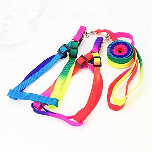 Pig Adjustable Harness Leash for Hog, Ferret, Rabbit, Dog and Similar Small Animals