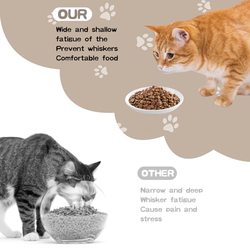 6 Pack Cat Food Bowl, Ceramic Cat Bowls, Anti Whisker Fatigue Cats Bowl Set | 5.5 Inches Shallow Wide Kitten Plates for Food and Water (White-A) - color: White-A