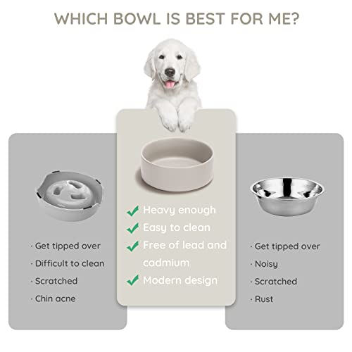 SPUNKYJUNKY 13.5OZ Ceramic Dog and Cat Bowl, Modern Cute Weighted Food Water Bowl for Replacement Grey (1 Pack) - color: Grey, size: 1.7 CUPS