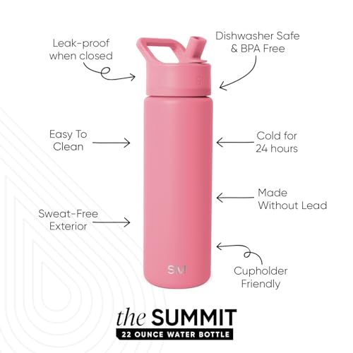 Simple Modern Insulated Water Bottle with Straw | 22oz | Pink | Summit Stainless Steel Water Bottles, Metal Cup | Leak Proof for School, Gym, Travel, Sports | Velvet Pink - color: -Velvet Pink, style: 22oz