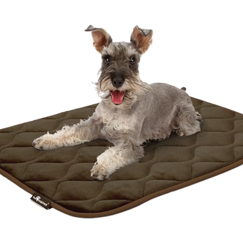 Paw Inspired Washable Padded Crate Mats for Dogs, Dark Brown, 35x22 Inch | Fits 36-inch Kennels, Leakproof, Waterproof Bottom, Plush Dog Pad, Pet Bed - color: Dark Brown, size: 36 Inch