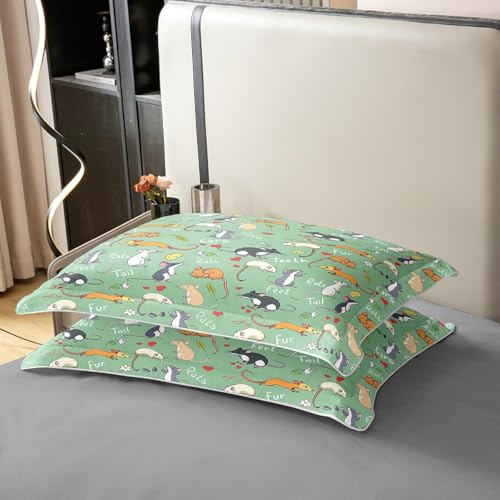 Erosebridal 100% Cotton Kids Rat Bedding Set, Mouse Rodents Duvet Cover Full, Funny Animal Love Heart Comforter Cover for Boys Girls Children Bedroom, Cartoon Style Quilt Cover Decorative Room, Green - color: Multi 22, size: Full (No Comforter)