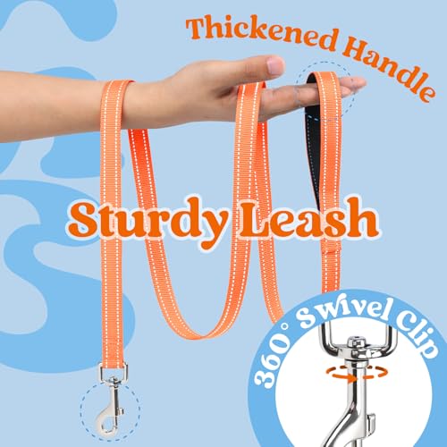 rabbitgoo Dog Harness Small Sized and Leash Set, Step in Soft Vest | Breathable Mesh, Easy Wear with Hook & Loop, Light and Reflective for Walking, Multi-colored, Blue & Orange, XXS - color: Blue & Orange, size: XXS (Chest: 12.4"-14.2")
