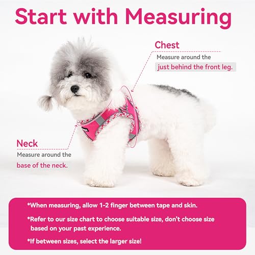 Petank Green Dog Harness (XS), No Pull, Puppy Harness and Leash Set, Jacquard Mesh, Easy Walk Dog Harness for Small Medium Dogs, Reflective Strip, Training, Running, Walking - color: Green, size: XS