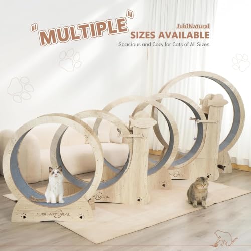 35.9" Cat Exercise Wheel for Indoor Cats, Compact Low-Noise | 4-in-1 activity center with removable carpet, safety lock, anti-pinch design, sisal scratcher, teaser toy and storage shelf