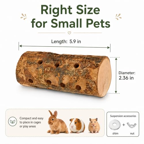Apple Wood Chew Toys for Small Animals - Molar Wood Treats & Cage Accessories for Rabbits, Hamsters, Guinea Pigs, Mouse, Bunny Teeth Care - size: Large