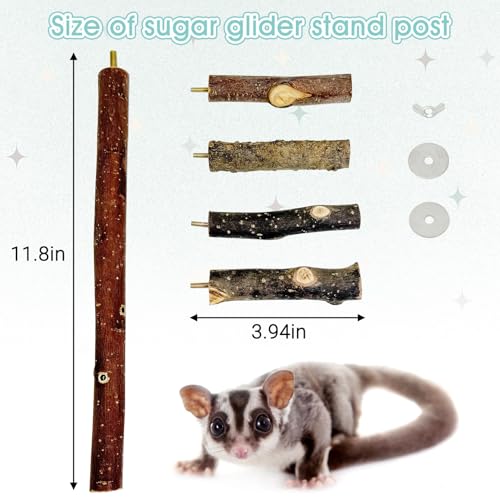 Sugar Glider Toy Natural Fruitwood Perch Stand Squirrel Hanging Wooden Climbing Pole Hamster Paw Grinding Perch Small Animal Cage Accessories for Chinchillas Rats Gerbil - color: Applewood - Climbing Perch
