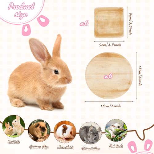 WALLFID Palm Leaf Bowls for Bunnies,6-Piece,3.5" and 6" Sizes,Natural Chew Toy for Rabbits,Bunny Accessories,Rabbit Toys,Bunny Toy (6 inches*6)
