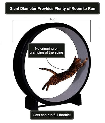 One Fast Cat - Cat Exercise Wheel - Made in the USA - 48" Diameter - Gen. 7 | Black with Gray Felt Traction Pads and Light-Up LED Inline Wheels - color: Black Wheel / Gray Felt / LED Inline