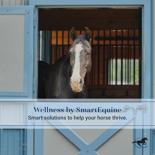 SmartEquine Slow Feed Hay Bag for Horses, 4 Flakes, 37" x 30", Black | 2" Holes | Hay Feeder Net with Resistant Nylon | Gator Mouth Enclosure for Easy Loading | Fits 10-15 lbs of Hay
