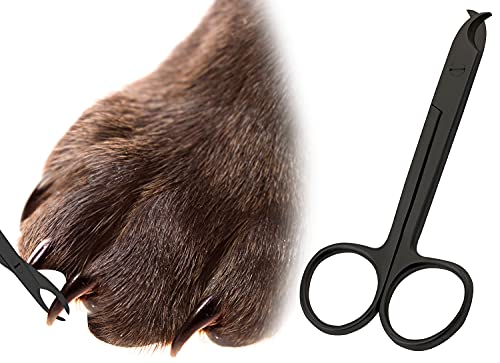 Pet Nail Clippers for Small Animals - Best Cat Nail Clippers & Claw Trimmer for Home Grooming Kit - Professional Grooming Tool for Tiny Dog Cat Bunny Rabbit Bird (Black)
