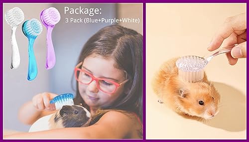 3PC Small Animal Bath Brush with Lid Soft Cleansing Brush Massage Combs for Hedgehog Guinea Pig Rabbit Chinchilla Ferret Small Animal Grooming Tool Cleaning Supplies