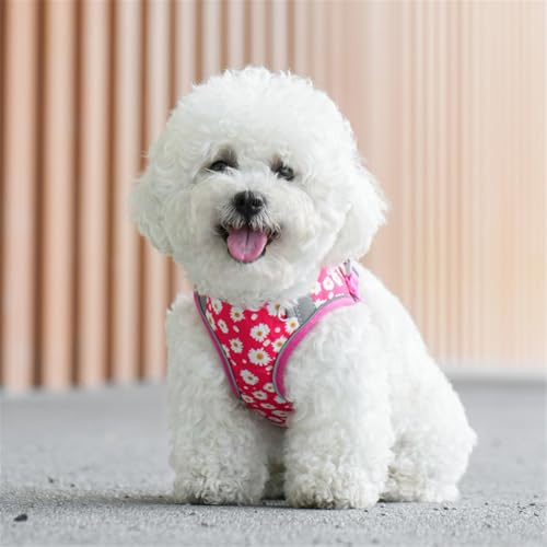 Step in Dog Harness No Pull Flower Adjustable Soft Mesh Harness | Padded Reflective Pet Vest Harness and Leash Set for Small Medium Dogs - color: Rose red, size: XS(neck:9.5"-10.5",chest:11.5"-13.5")