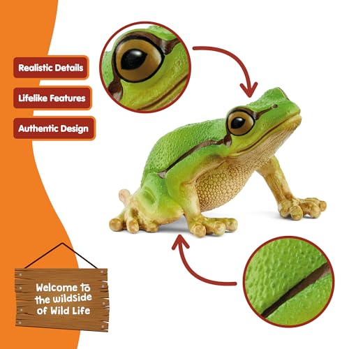 Schleich Wild Life - European Tree Frog Toy Figurine. Realistic Hand-Painted Animal Toys for Boys and Girls. Durable Educational Wolf Figure for Imaginative Play. Kids and Toddlers Ages 3+ 14882