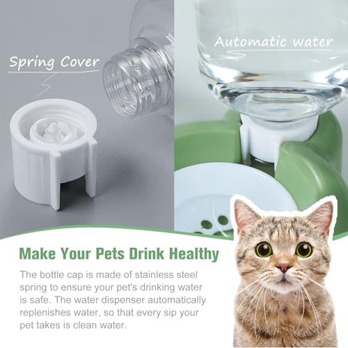 Dog Bowls, Cat Food and Water Bowl Set with Water Dispenser and Stainless Steel Bowl for Cats and Small Dogs - Green - color: Green