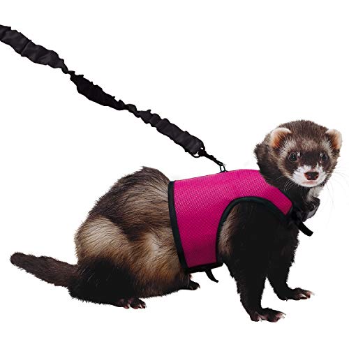 Kaytee Comfort Harness & Stretchy Leash, Medium (Pack of 3) - size: Medium (Pack of 3)