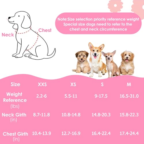 Lukovee Puppy Harness and Leash Set, No Pull, Lightweight Step in Vest | Adjustable, Soft Suede Vest, Easy Put on and off Pet Harness with Snap Buckle & 51in Leash for Small Medium Dogs (Pink-R,XXS) - color: Pink Rose, size: XX-Small ( 2.2-6lb )