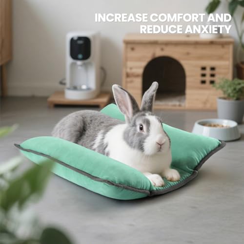 Rabbit Bed, Washable Bunny Pillow, Reversible Lounger Pad, Soft Small Animal Bedding, Stress Relief Pet Mat for Kittens, Guinea Pigs, Puppies - color: Light Green