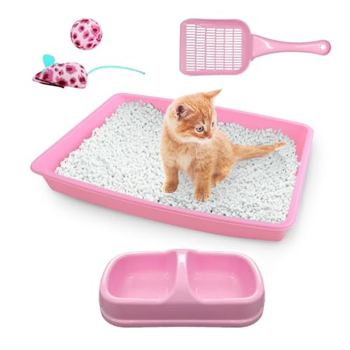 PAWISE Cat Litter Box Set, Small Kitten Starter Kit, Includes Litter Box, Litter Scoop, Double Dish Feeding Bowl, Cat Mouse Toy, Kitty Ball Toy, Pink - color: Pink