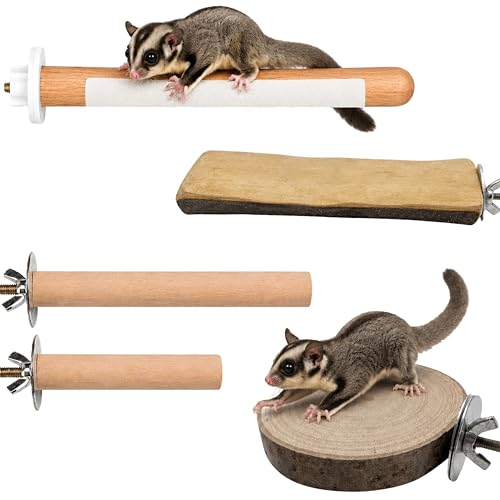 Sugar Glider Cage Accessories Nail File, 5-Piece Wood Climbing Set | Two Smooth Climbing Bars, Two Rest Platforms and One Bar with a Small Filing Zone (Climbing Toy)