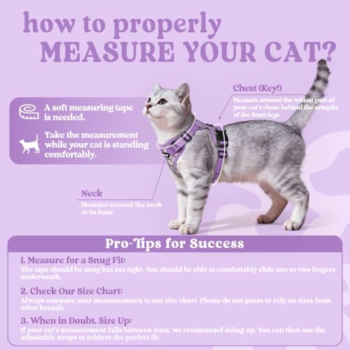 rabbitgoo Cat Harness and Leash Set, Escape Proof Vest, Purr-ple Daisy | Soft Breathable Mesh, Easy Adjustable Fit, Snap Buckles, Sturdy Clip, Reflective Strips, for Kittens & Small Cats Walks, Xxs - color: Purr-ple Daisy, size: Xxs