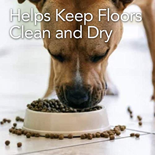 Resilia Under Dog Crate and Kennel Mat to Protect Floors, Water-Resistant Pad for Hard Floors and Surfaces, 30 Inches x 48 Inches, Clear - color: Clear