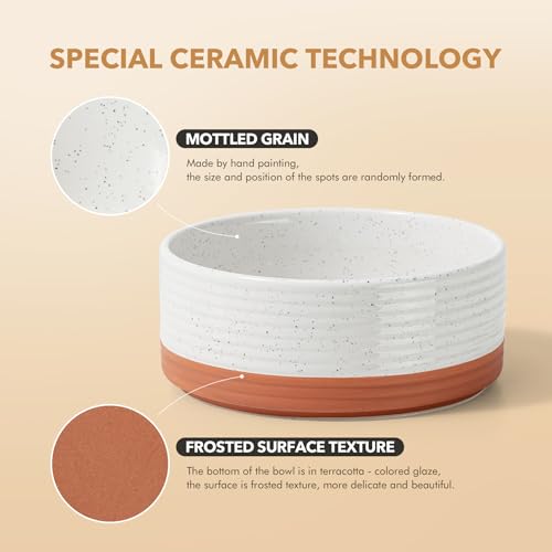 Havniva Dog Bowls Ceramic, Dog Food and Water Bowl Set | 5.1inch Dog Food Bowl, Dog Water Bowl, Food-Grade Ceramic Non-Slip Rubber Base, Dishwasher Safe, 2 Pack, Small Dogs, Puppy - color: 2 Bowls-Vanilla White, size: 1.6CUPS