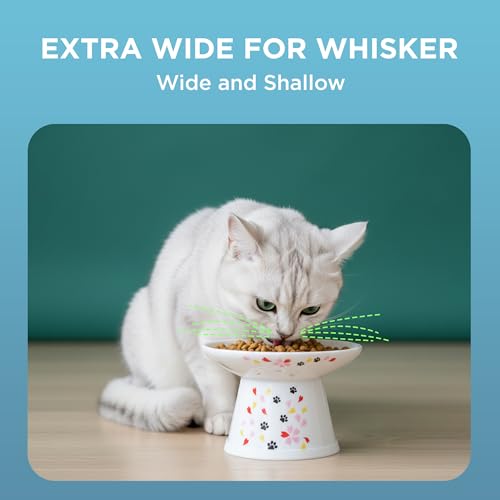Necoichi Extra-Wide Raised Cat Food Bowl (Sakura, Extra Wide) - color: Sakura, size: Large Extra Wide