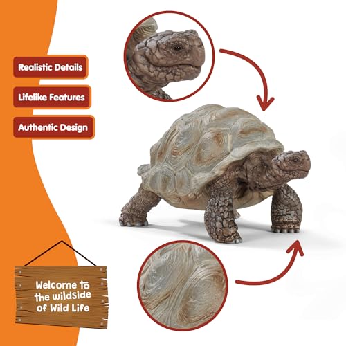 Schleich Wild Life - 3" Galapagos Giant Tortoise Figure - Realistic Turtle Toy for Boys and Girls - Wild Animal Educational Toy - Zoo Wildlife Figurine for Toddlers and Kids Ages 3+ | 13337