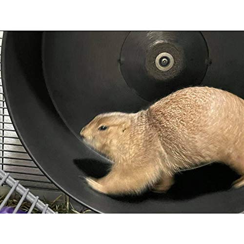 15" Chin-Sprint : All-Metal Durable, Fast Exercise Wheel - for Chinchillas, Prairie Dogs, Rats, Degus, Hedgehogs, Opossums & Other Small Pets (Black)