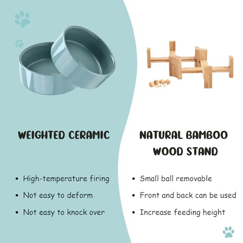 SPUNKYJUNKY 15° Slanted Ceramic Dog and Cat Bowl with Wooden Stand, Tilted Bulldog Food and Water Bowl No Slip Non-Spill for Cats Medium Dogs Big Face Pets 28.7 OZ (3.6 Cups, Light Green × 2) - color: Light Green, size: 3.6 CUPS × 2