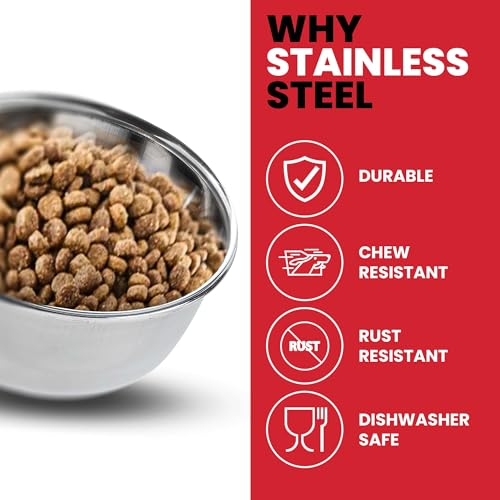 SPOT Stainless Steel Mini Coop Cup with Wire Hooks – 10 oz Small Pet Food & Water Bowl, Rust-Resistant & Easy to Clean, Attaches to Cages for Birds, Parrots, Rabbits, Ferrets, Rats & Small Pets