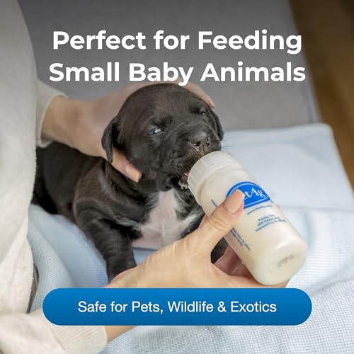 PetAg Nursing Kit - 2 oz, Pack of 2 - Promotes The Natural Feeding of Liquids to Baby Animals - Each Kit Includes 2 oz. Bottle with Cap, 5 Nipples & Cleaning Brush - size: 2 Ounce (Pack of 2)