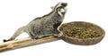 Coconut Cup With Perch - Natural Wooden Mounted Food & Treat Bowl Cage Accessory Climbing Perch - Sugar Gliders, Parrots, Marmosets, Degus, Squirrels, Rats, Mice, Birds, & Other Small Pets