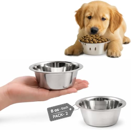 2 Pack Shallow Stainless Steel Cat & Dog Bowls, 1 Cup (8 oz) Each, Heavy Duty Small Pet Only Puppy Kitten & Birds Feeder Replacement Bowl, Rust Resistant Metal Cat Dishes for Food & Water - size: 1 Cup (8 oz)