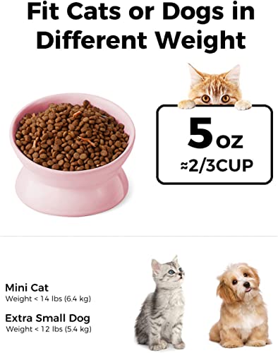 LoeJan Elevated Cat Food Bowl, 5 Oz Ceramic Raised and Tilted Water Bowl, Anti Vomiting and Protect Pets' Spines Dishes for Small Dog, Fat Faced Cat, Kitten (Pink, 1 Pack) - color: Pink