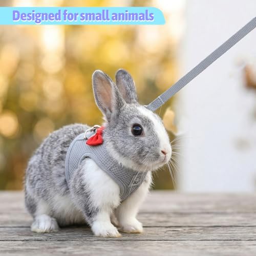 Bunny Leash and Harness Set, Rabbit Harness Vest, M Size | Bunny Harnesses, Adjustable Straps Design, Soft Mesh Harnesses for Puppies, Kitten, Guinea Pigs, Grey - size: M
