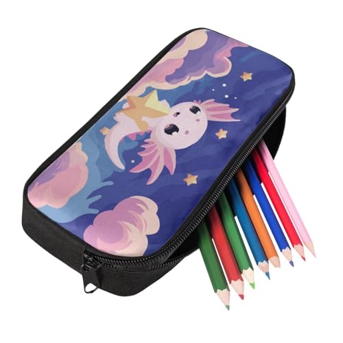 Cartoon Axolotl Bookbag for Girls with Lunch Box Water Bottler Holder and Zipper Clouser Pencil Case for Boys Kids Compartment 6Th Grade School Bag Big Capacity 4 in 1 Primary Backpack - color: Cartoon Axolotl