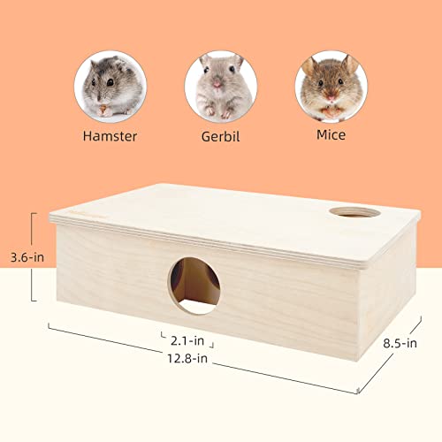 Niteangel Multi-Chamber Hamster House Maze: 2 Entrance 6 Rooms Maze Habitat | No-Disturb Removable Lid - Encourage Pets Hide and Explore Freely Hideout & Tunnel Maze Toys for Hamster Gerbils Mice Lemming - size: 6-Room Small